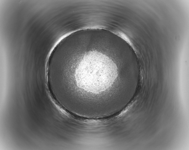 X0000087061124200705021211