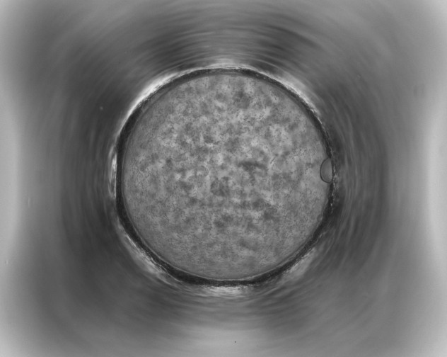 X0000087061126200705021211