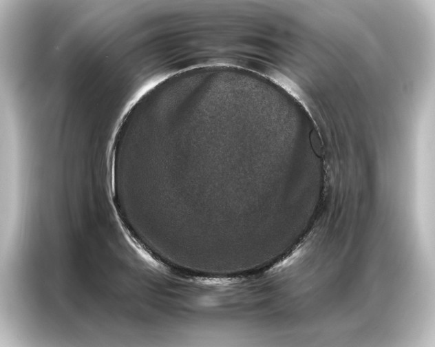 X0000087061127200705021211