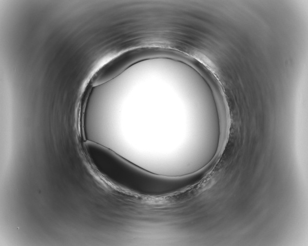 X0000087061128200705021211