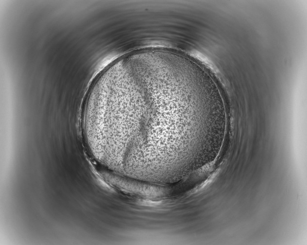 X0000087061129200705021211