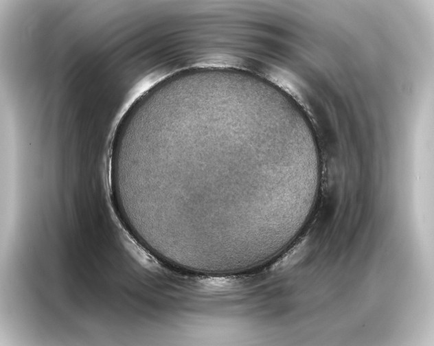 X0000087061130200705021211