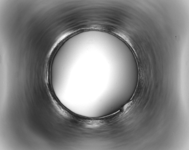 X0000087061131200705021211