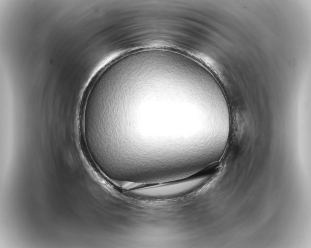 X0000087061134200705021211