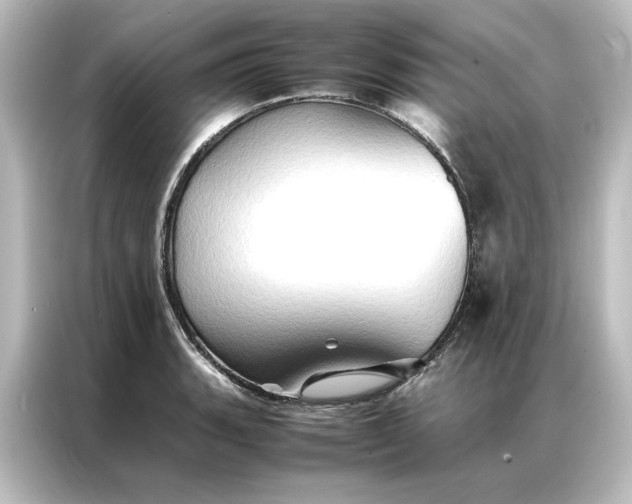 X0000087061135200705021211