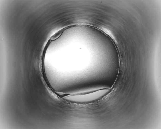 X0000087061136200705021211