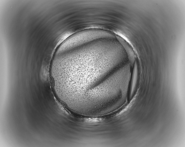 X0000087061137200705021211