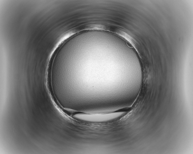 X0000087061139200705021211