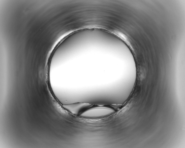 X0000087061140200705021211