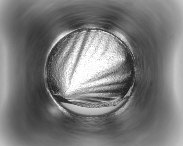 X0000087061141200705021211