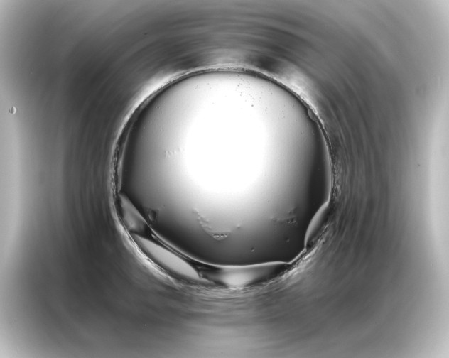 X0000087061142200705021211