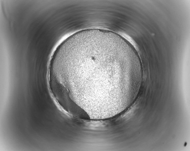 X0000087061144200705021211