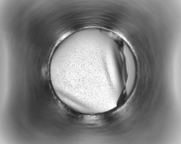 X0000087061145200705021211