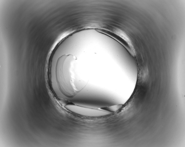 X0000087061146200705021211