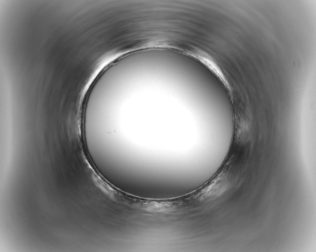 X0000087061148200705021211