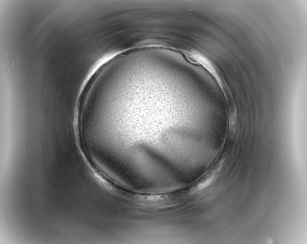 X0000087061149200705021211