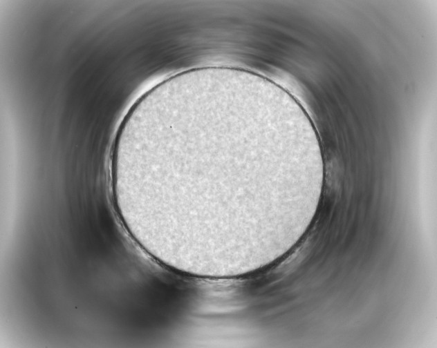 X0000087061150200705021211