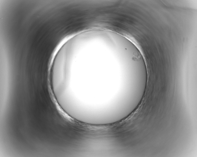 X0000087061152200705021211