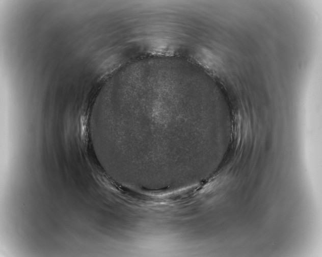 X0000087061154200705021211