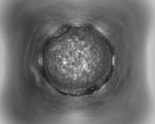 X0000087061155200705021211