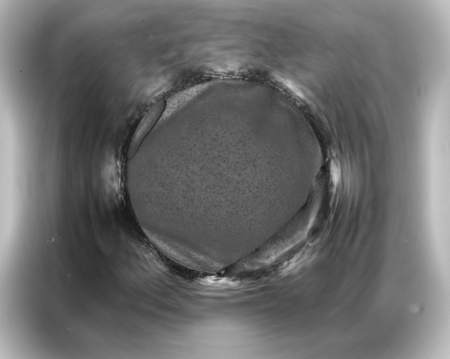 X0000087061156200705021211