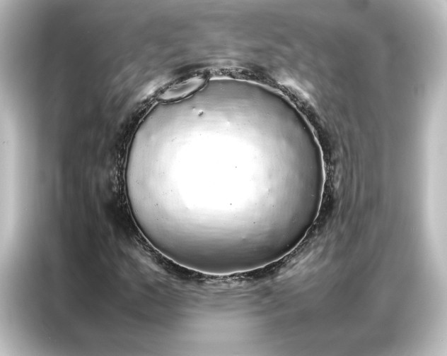 X0000087061159200705021211