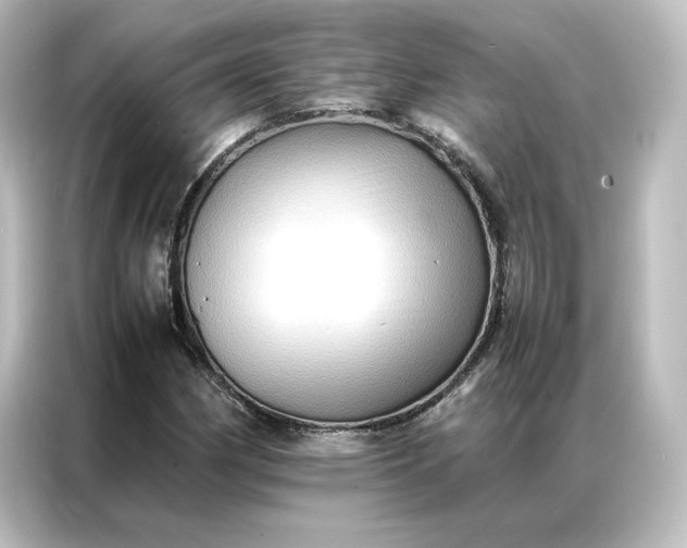 X0000087061162200705021211