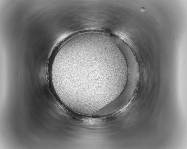 X0000087061164200705021211