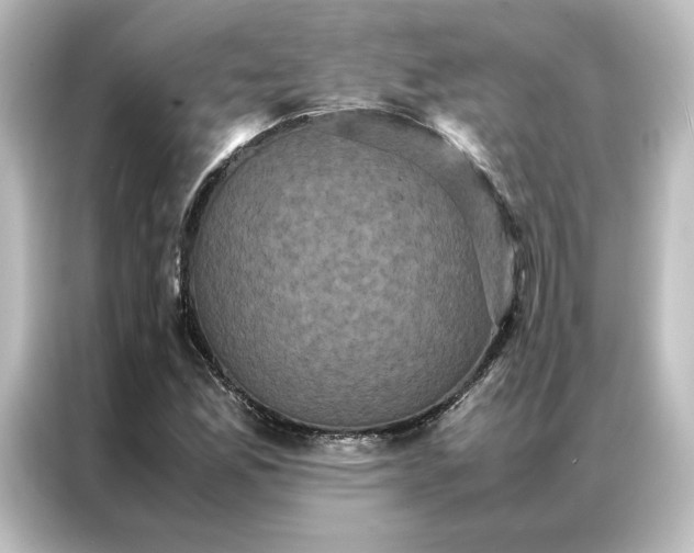 X0000087061165200705021211