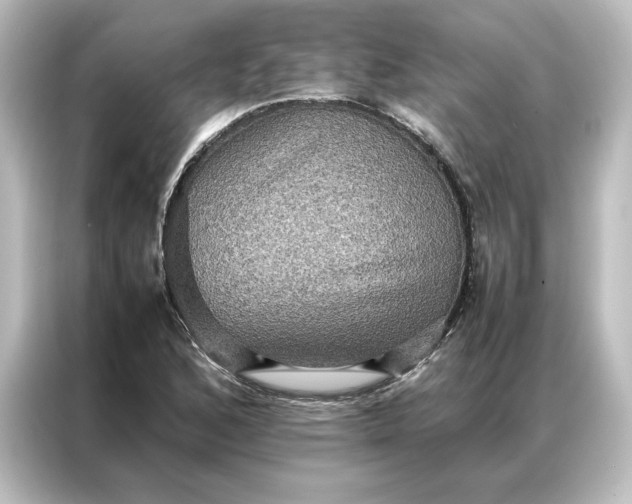 X0000087061168200705021211