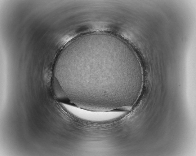 X0000087061169200705021211