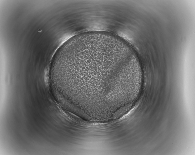 X0000087061170200705021211