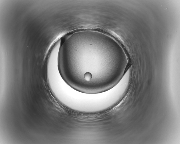 X0000087061171200705021211