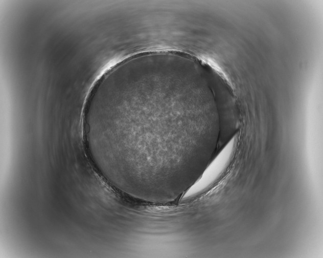 X0000087061173200705021211