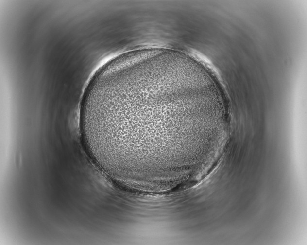 X0000087061174200705021211