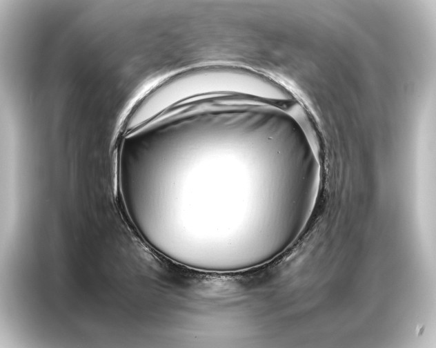 X0000087061175200705021211