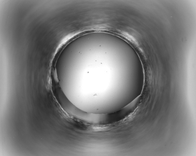 X0000087061176200705021211