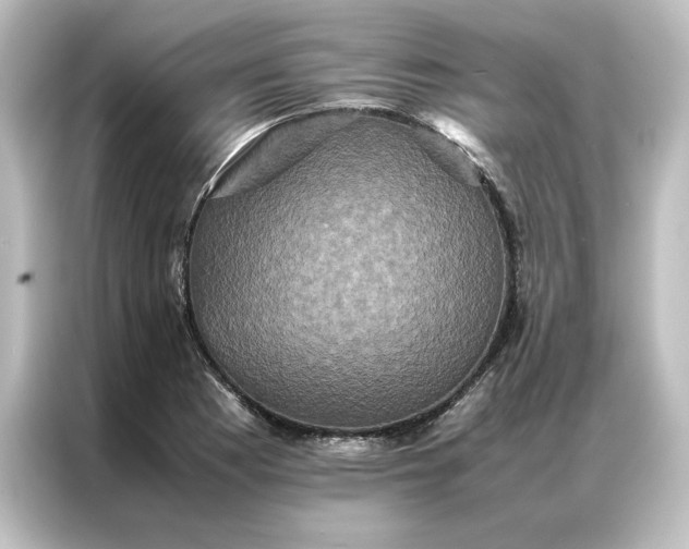 X0000087061177200705021210