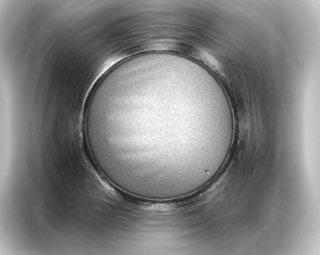 X0000087061178200705021210