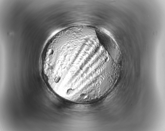 X0000087061179200705021210