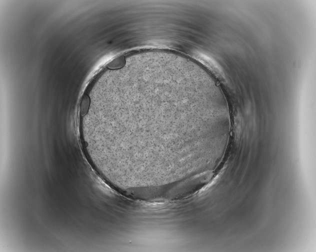 X0000087061180200705021210