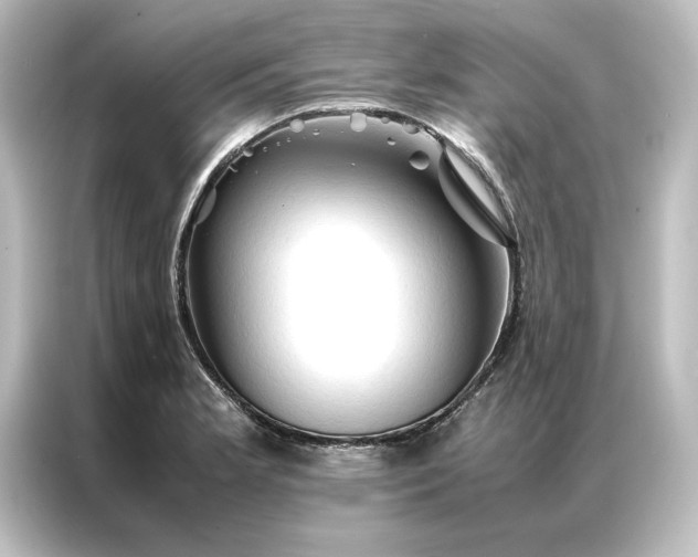 X0000087061181200705021210