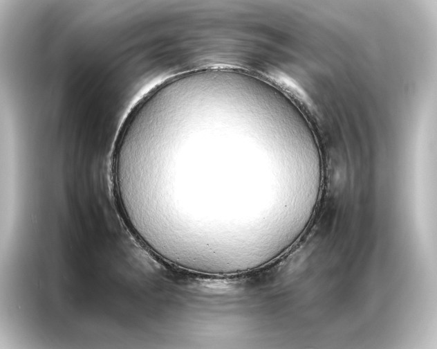 X0000087061182200705021210