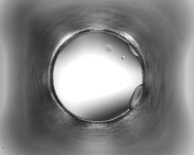 X0000087061183200705021210