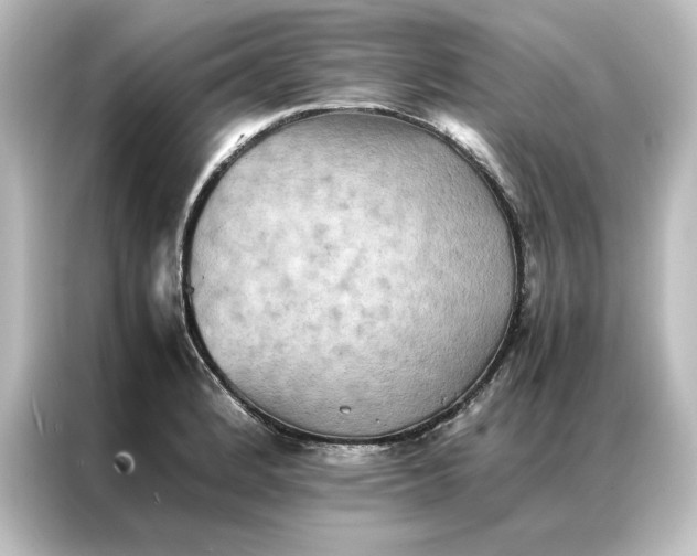 X0000087061184200705021210