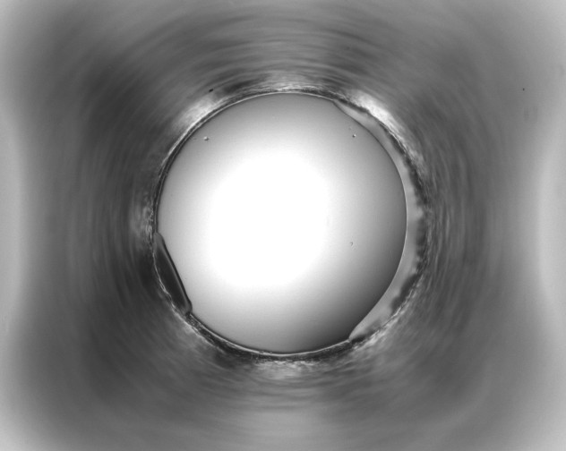 X0000087061185200705021210