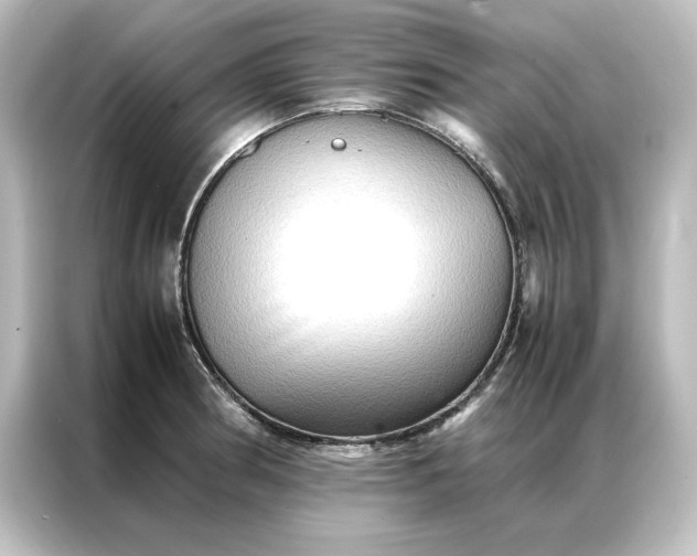 X0000087061186200705021210