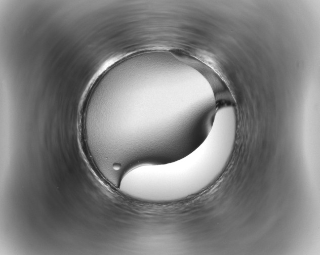 X0000087061187200705021210