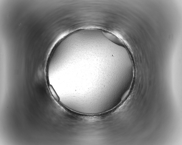 X0000087061189200705021210