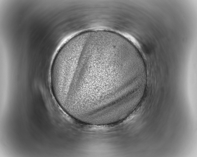 X0000087061191200705021210